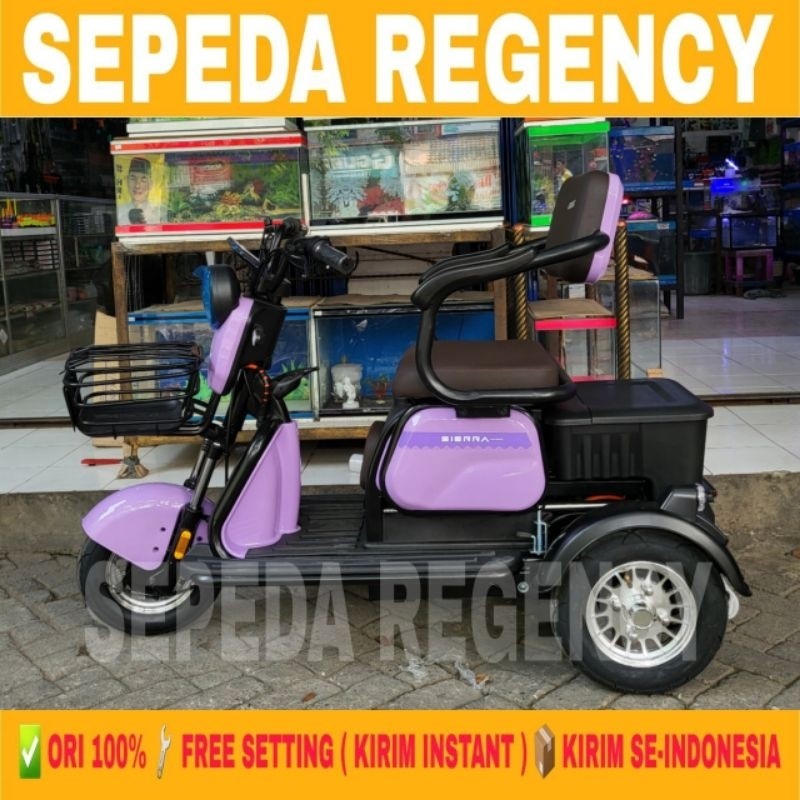 Sepeda Listrik Roda Tiga EXOTIC SIERRA Electric Bike 650 Watt