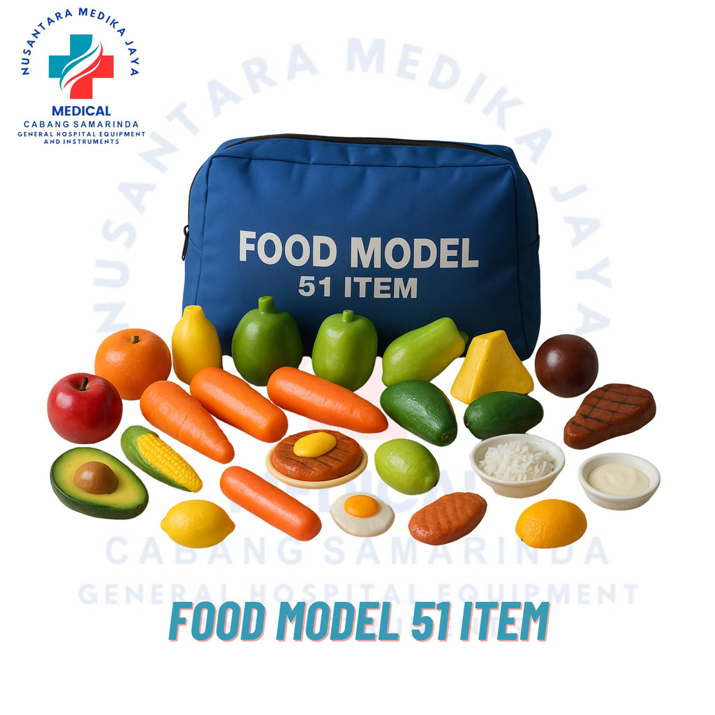 Food Model – Peraga Makanan Gizi Seimbang 51 Item