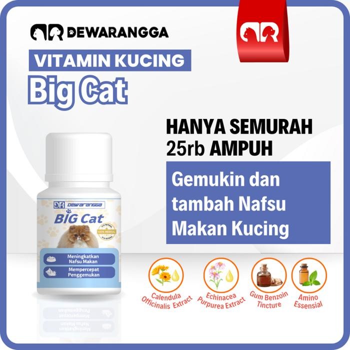 BIG CAT Vitamin Kucing Dewarangga - Vitamin Penambah Nafsu Makan dan Penggemuk Kucing