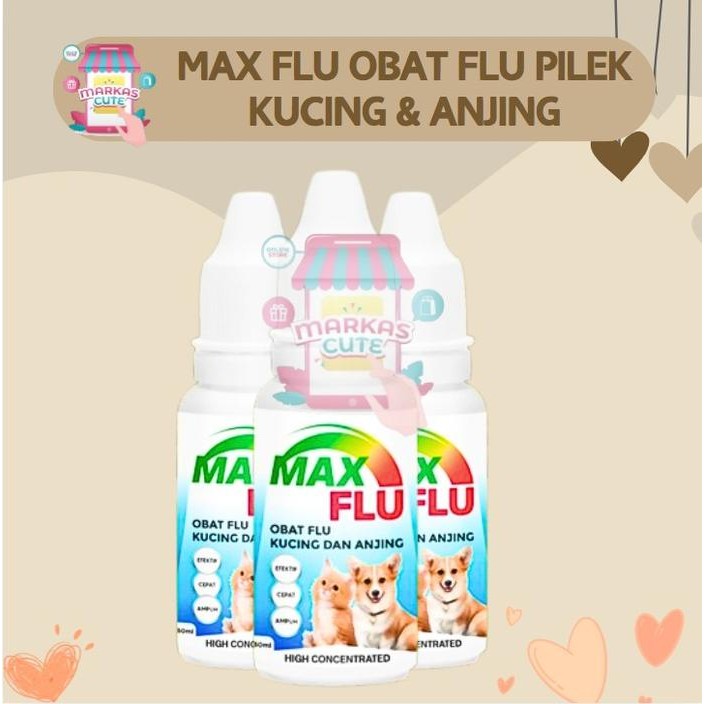 MAX OBAT FLU & PILEK KUCING DAN ANJING - Obat Pilek Kucing Dan Anjing