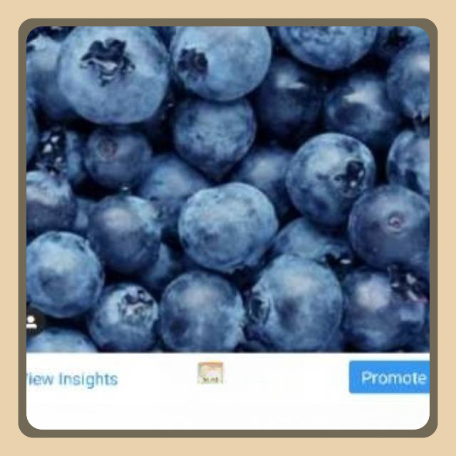 

Blueberry frozen 1 kilo