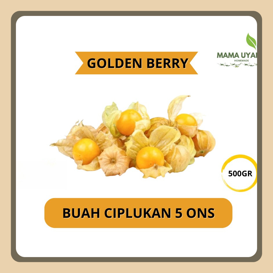 

JUAL BUAH CIPLUKAN 500GRAM / 5 ONS GOLDEN BERRY