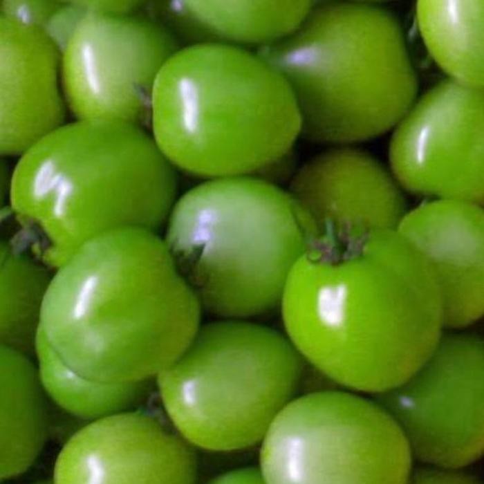 

Tomat Hijau Besar 250gr