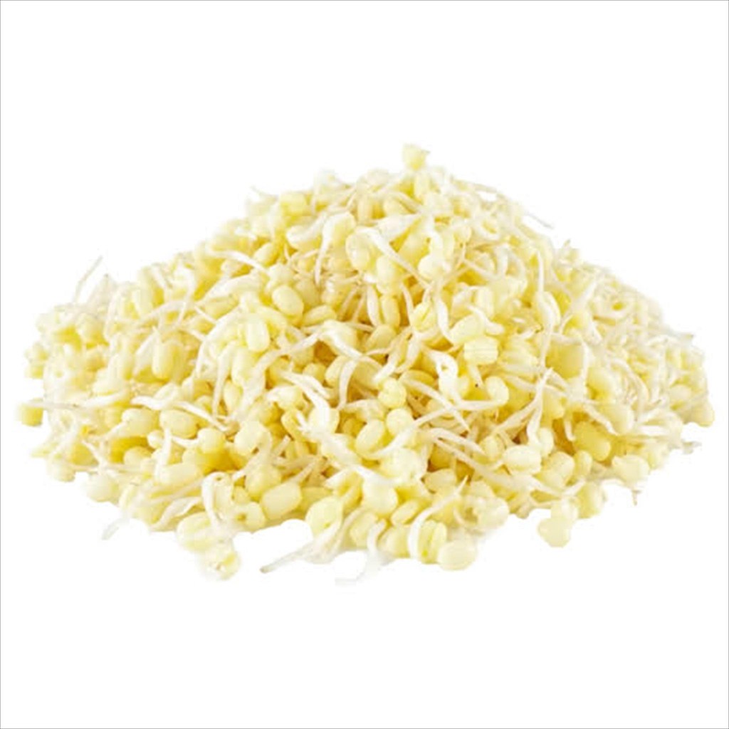 

TAUGE KECAMBAH KECIL PENDEK TOPING RAWON SOTO 50 GR