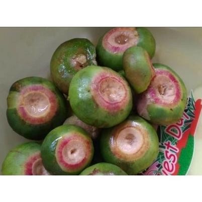 

BUAH PEDADA / BUAH POHON MANGRUVE / BUAH SEGAR 1KG - 500gr
