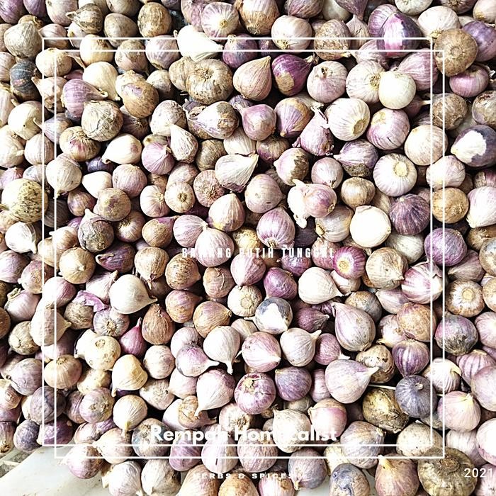 

bawang putih tunggal - JUMBO, 250 gram