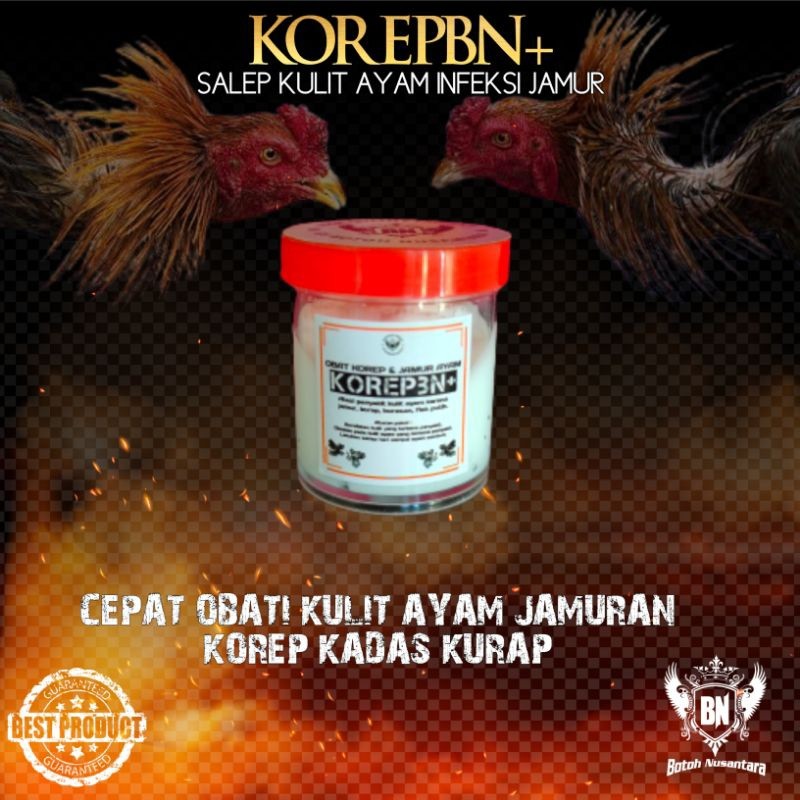 KOREPBN+ Obat Korep Ayam | Salep Korep untuk Ayam Bangkok, Aduan & Laga