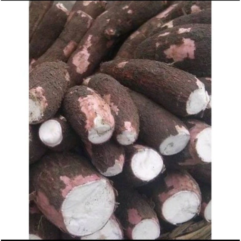 

singkong mentah Pulen 1kg