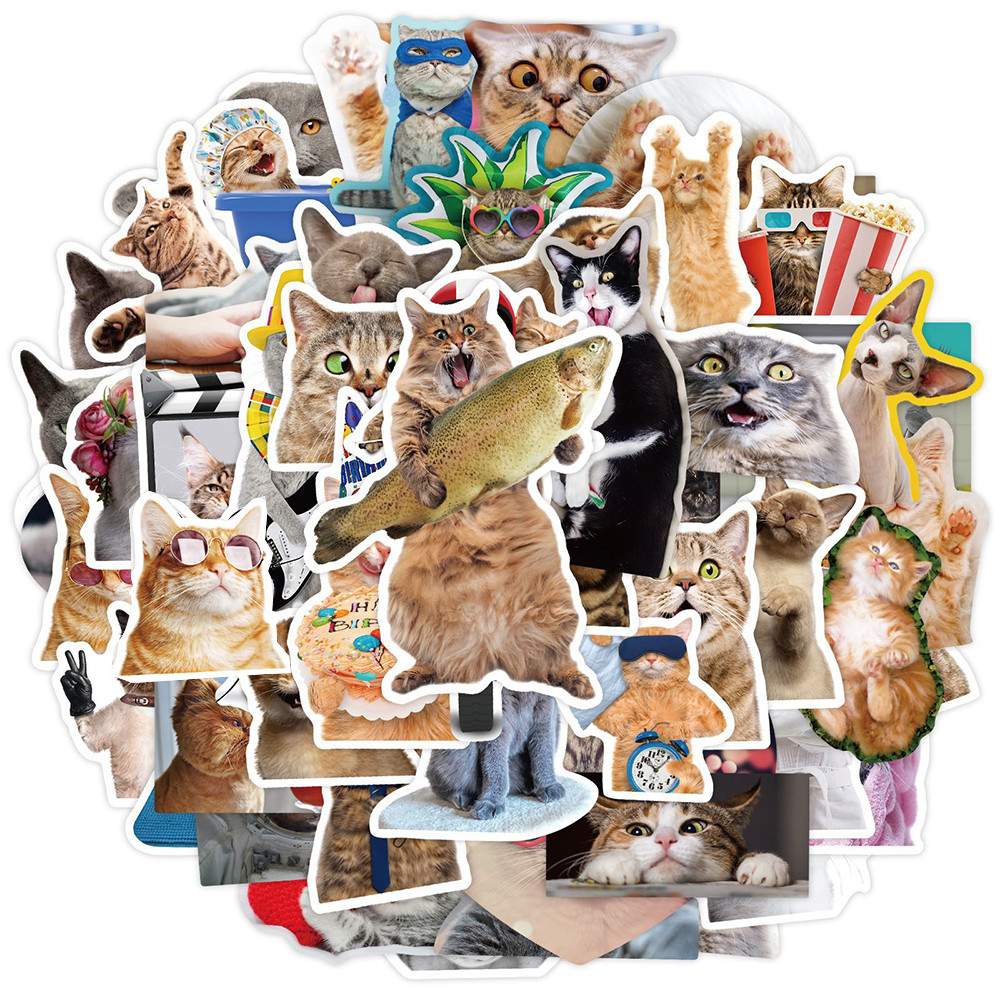 

10/30/65pcs Funny Cute Cat Meme Stickers Kid Toy Scrapbook Notebook Motorcycle Laptop Car Phone Guitar Waterproof Sticker Decals