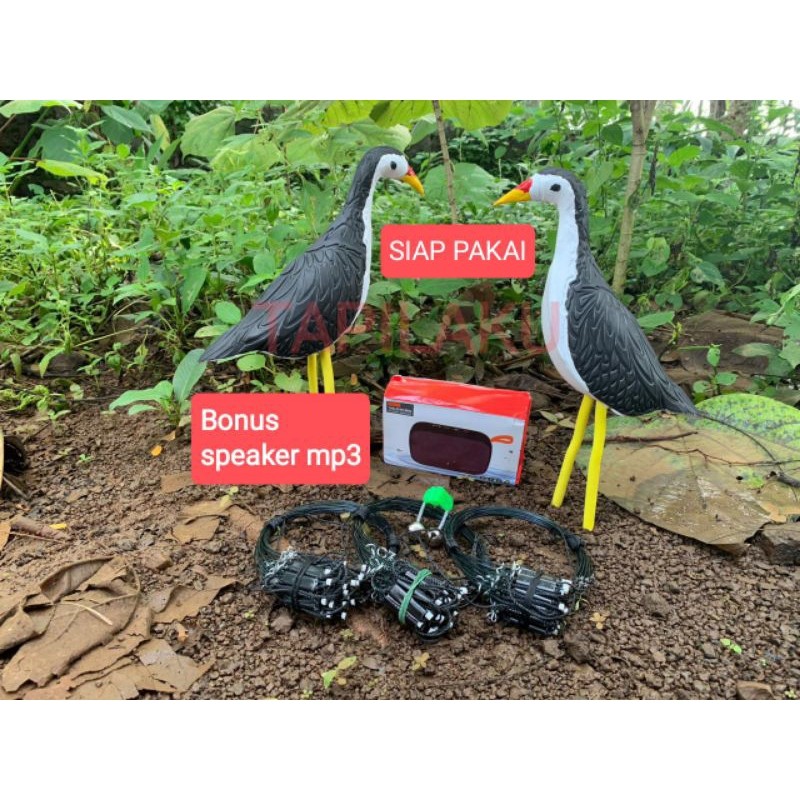 KOWASHOP FULSET ALAT JERAT BURUNG RUAK RUAK+mp3 +boneka