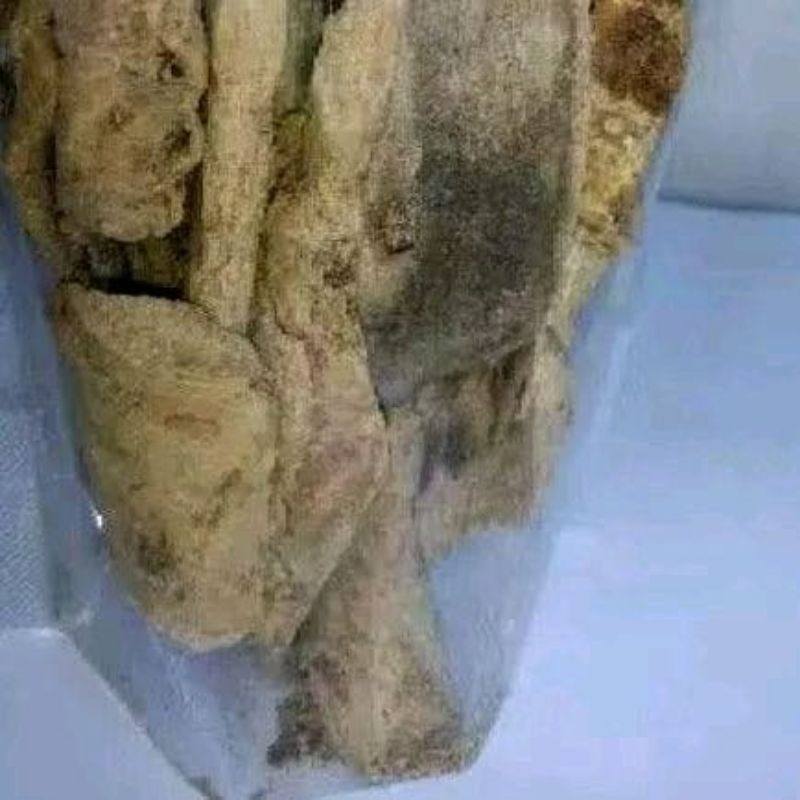 

MURAH Kulit Kayu Pule Kering 500gr