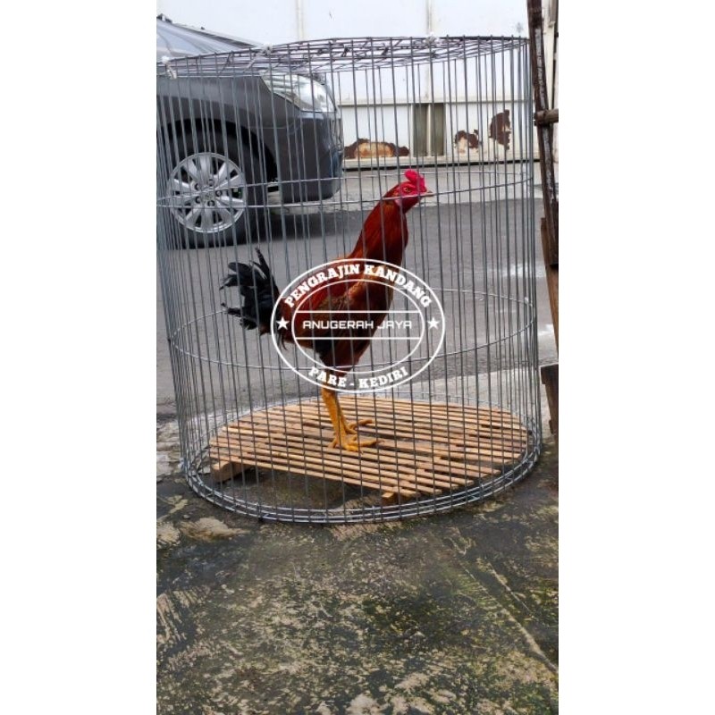 TERMURAH KANDANG GALVANIS BULAT DIAMETER 70 CM TINGGI 75 CM SONGKOK KURUNGAN AYAM ii-67