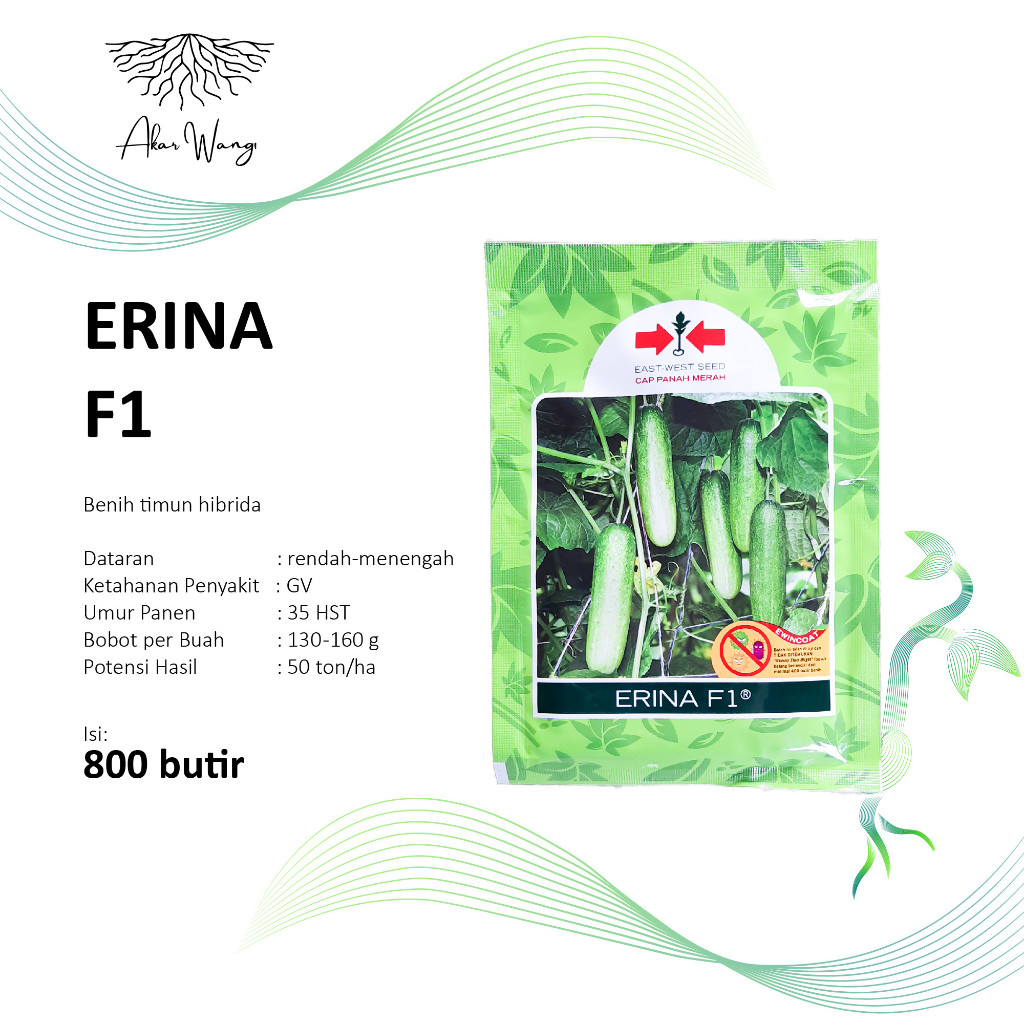 Benih Timun Erina F1 800 BTR