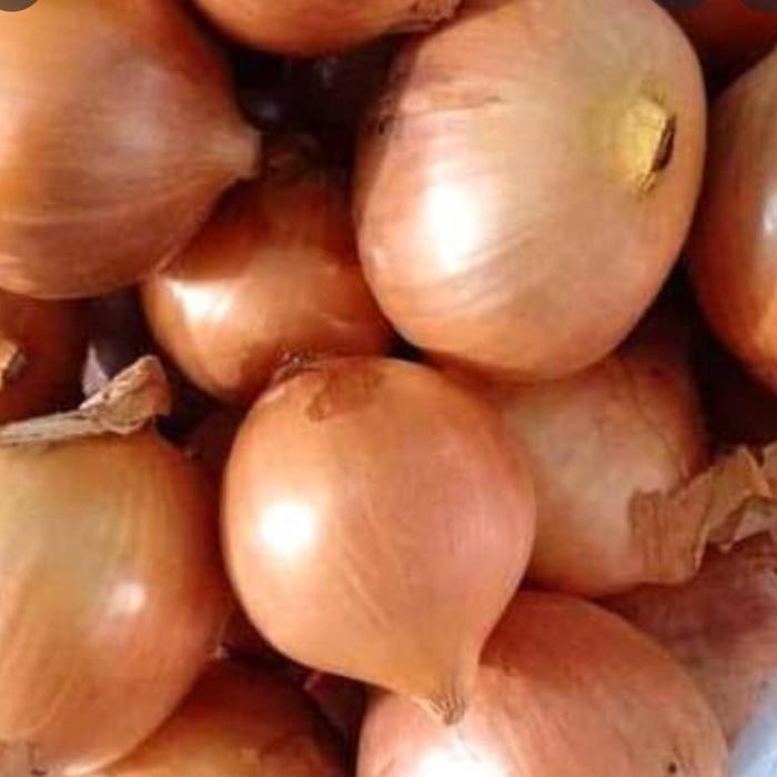 

Bawang Bombay Super 250gr