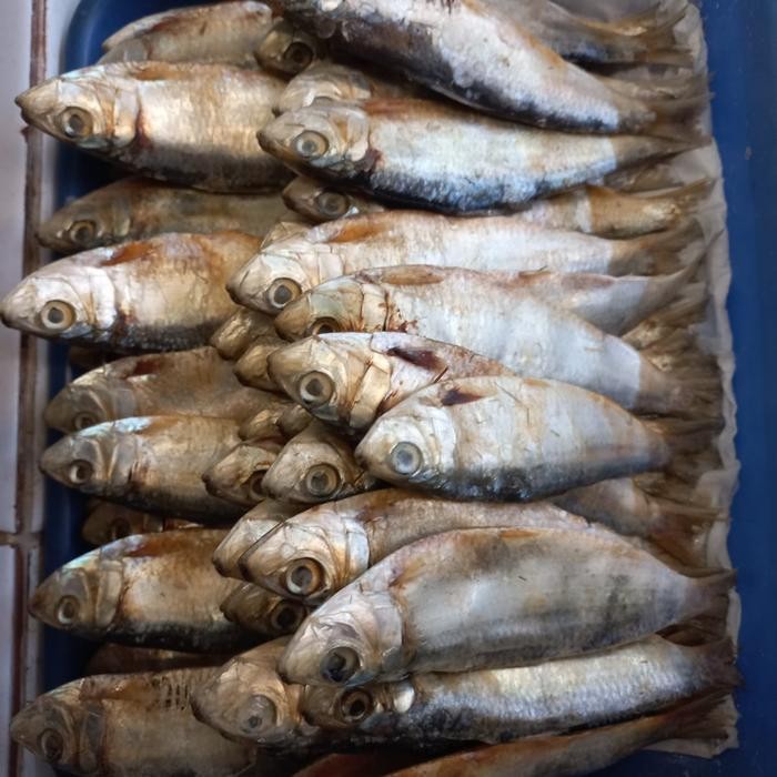 

Ikan Asin Tembang 250gr