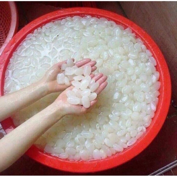 

COD 1 KG KULANG KALING SEGAR CANGKAENG MUDA KULANGKALENG .