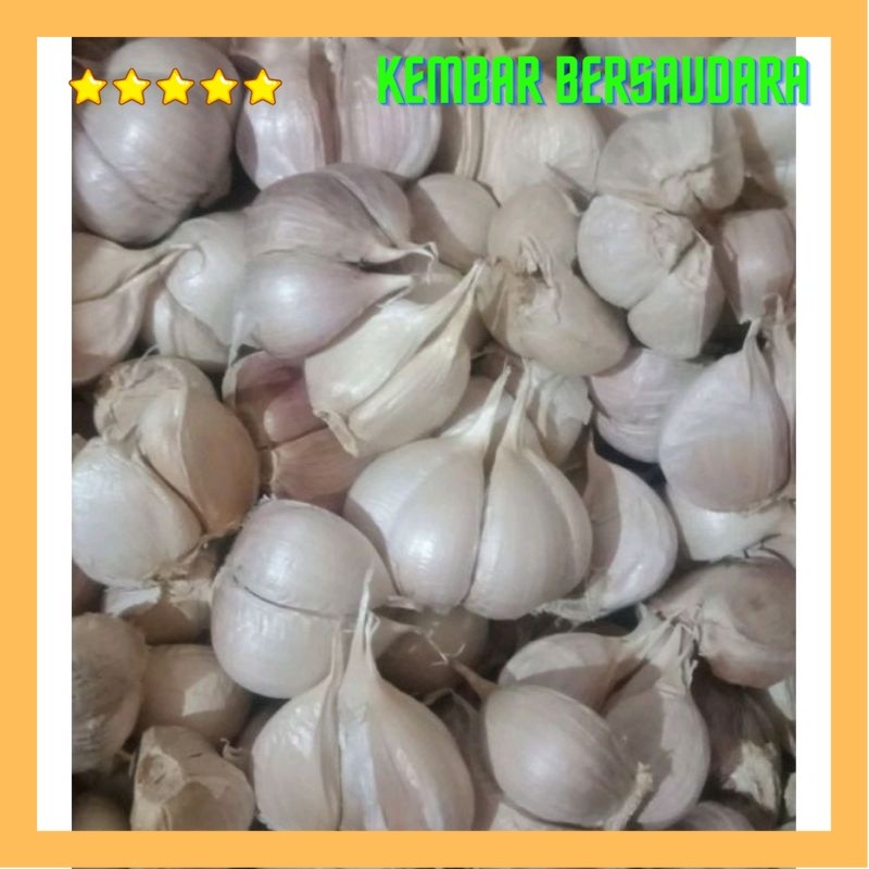 

BAWANG PUTIH KATING FRESH 500gr