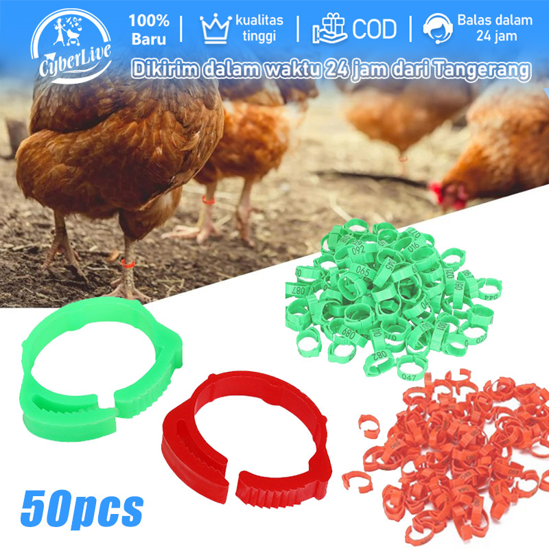 50pcs Gelang Kaki Ayam Bangkok Gelang Penanda Ayam Gelang Untuk Ayam Gelang Kaki Ayam Gelang Kaki Ay