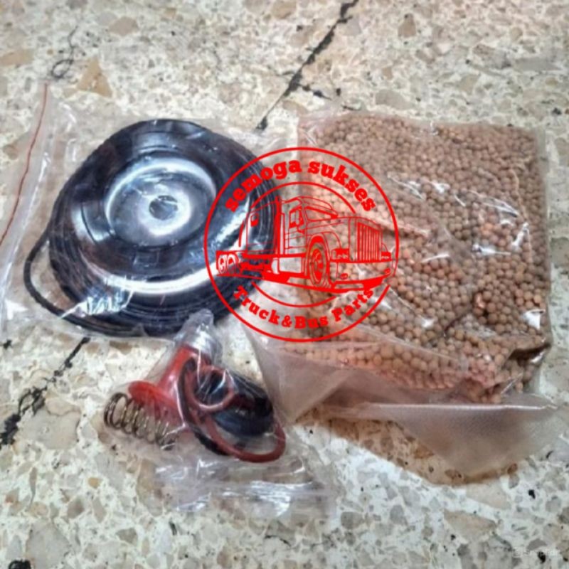 Repair Kit Air Dryer DR31 HINO FUSO NISSAN