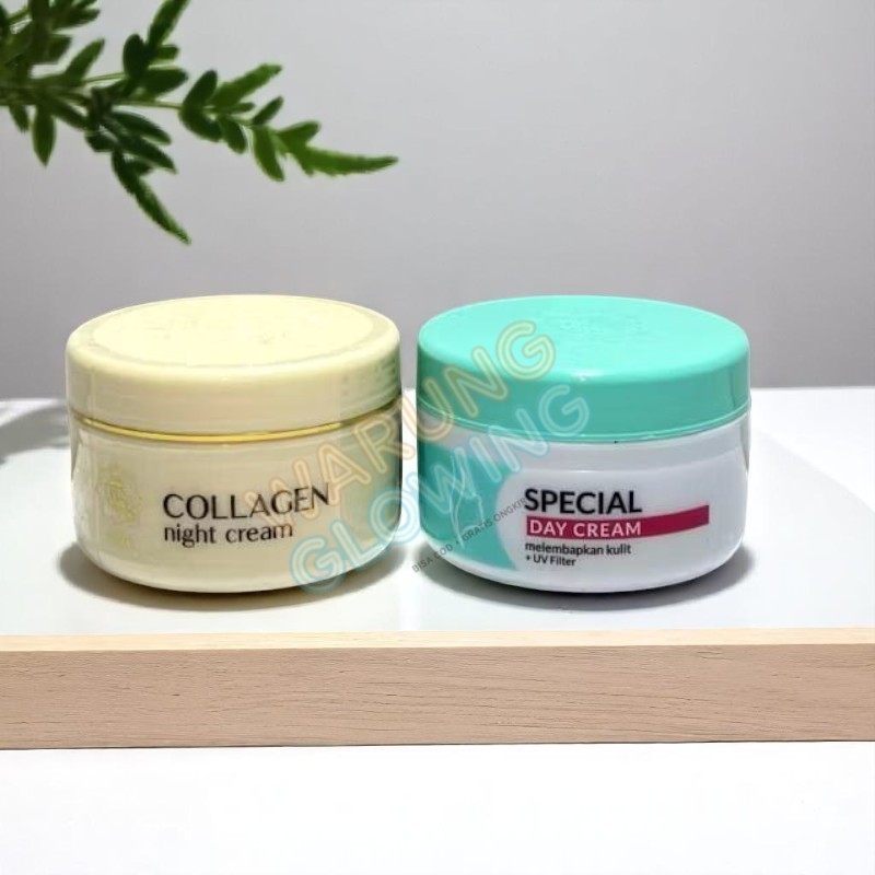 Paket Krim Siang Malam Viva Cosmetics Original | Cream special Day + Cream Collagen Malam BPOM
