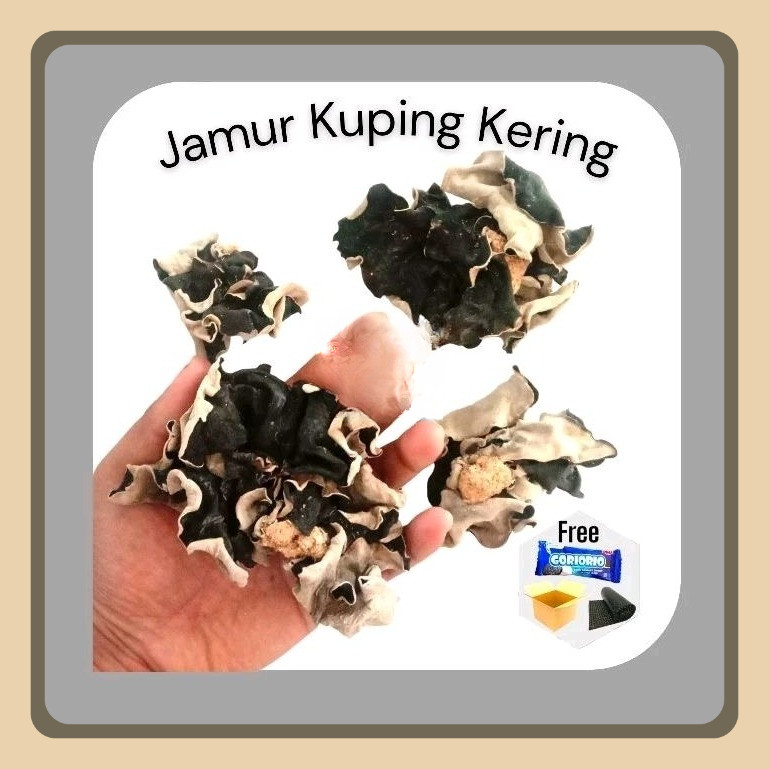 

Jamur Kuping Kering 1kg Hitam Grade A Super Kemasan 1 Kg