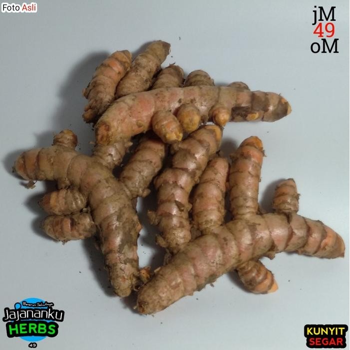 

Kunyit 1Kg Kunir Segar Murah Dipanen Dadakan Dari Kebun Sendiri - 1/2 Kg herbal ready