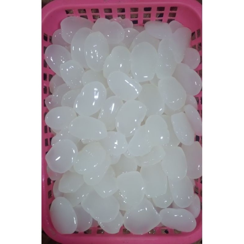 

PROMO SEGAR Kolang Kaling Jumbo 500 Gram ready