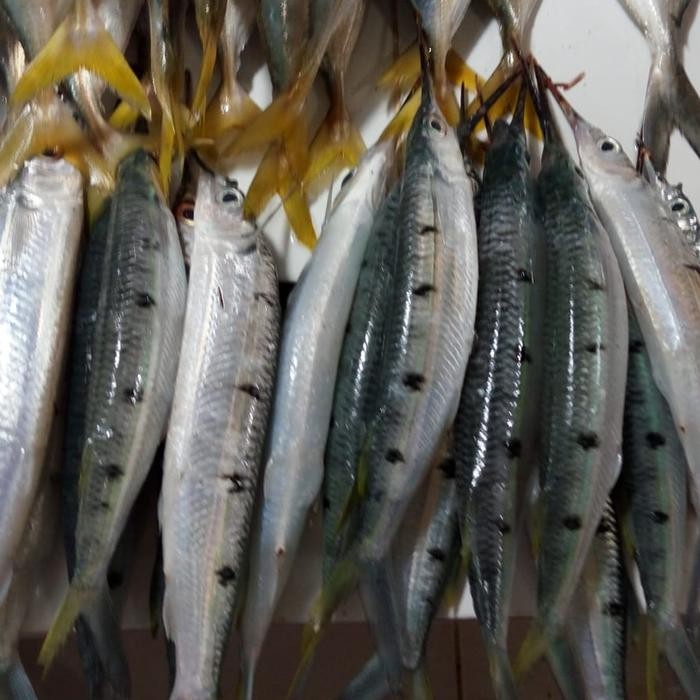 

Ikan Kacang-Kacang 500gr