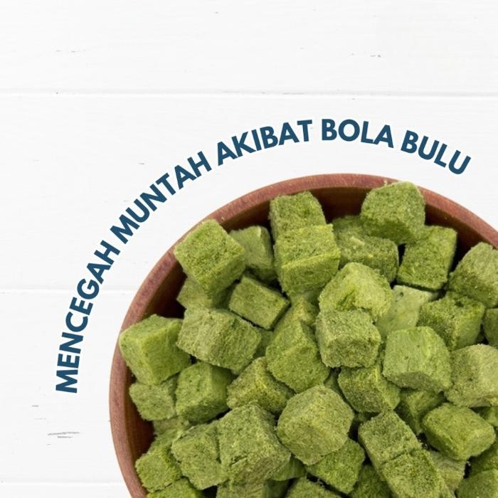 

Snack Rumput Kucing Cat Grass Dadu Cemilan Beku Cat Grass Premium Grass Wheatgrass Dengan Daging Segar - 25gr