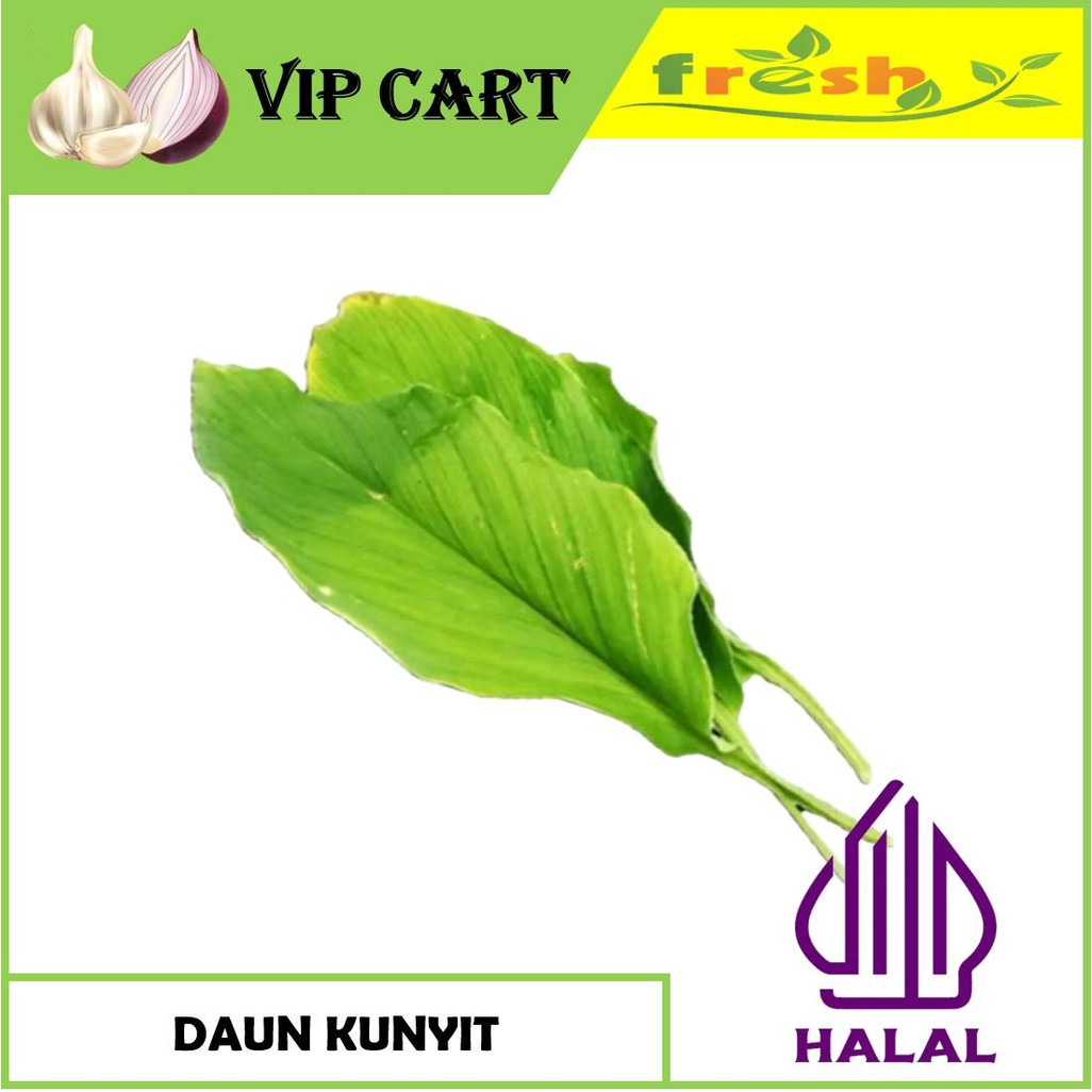 

DAUN KUNYIT SEGAR PER IKAT - BUMBU DAPUR