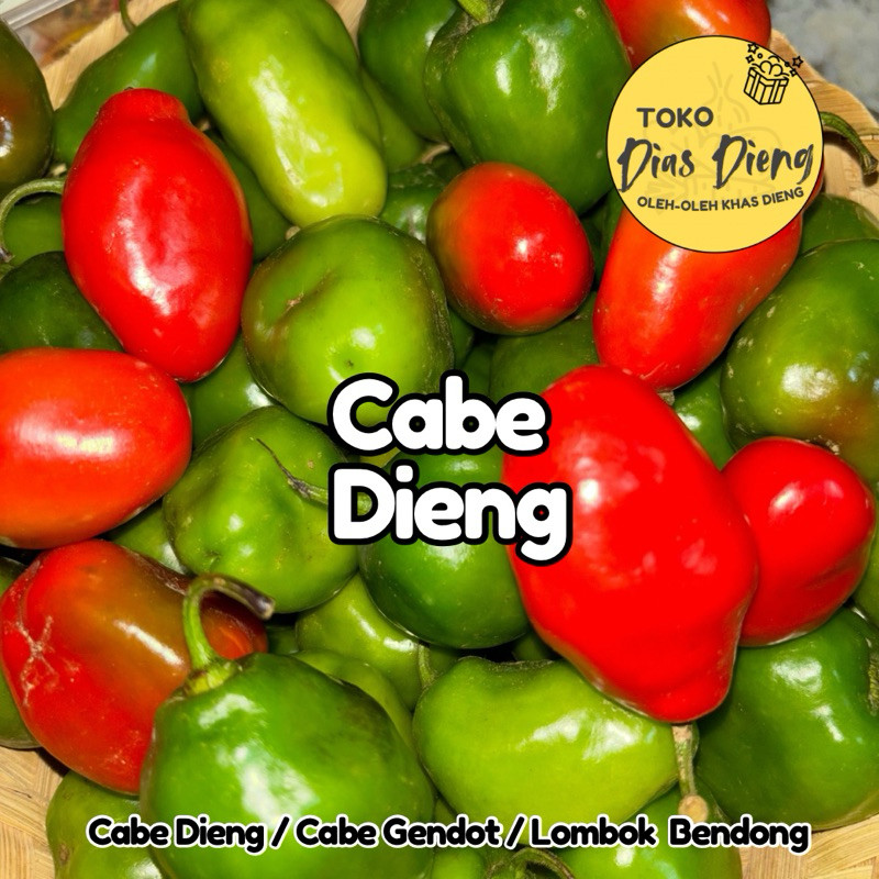 

READY MURAH Cabe Dieng / Cabe Gendot / Cabai / Lombok Bendong 1 kg
