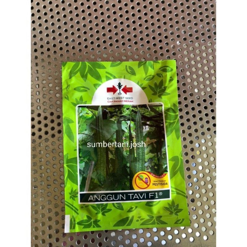 Benih Oyong Benih Gambas Anggun Tavi Panah Merah 75 Butir