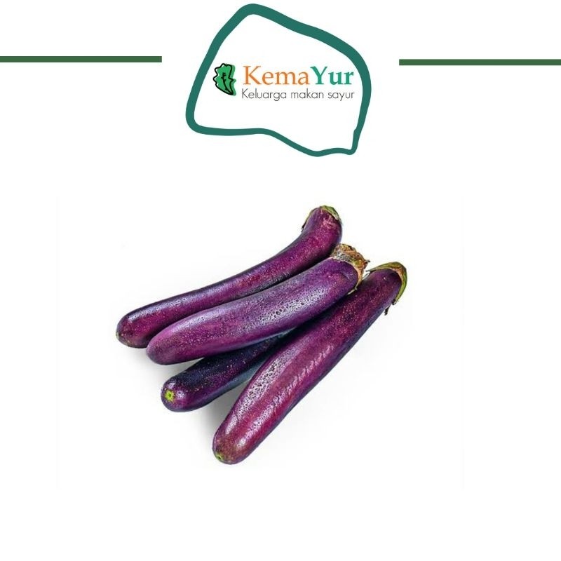 

TERONG UNGU 500GR