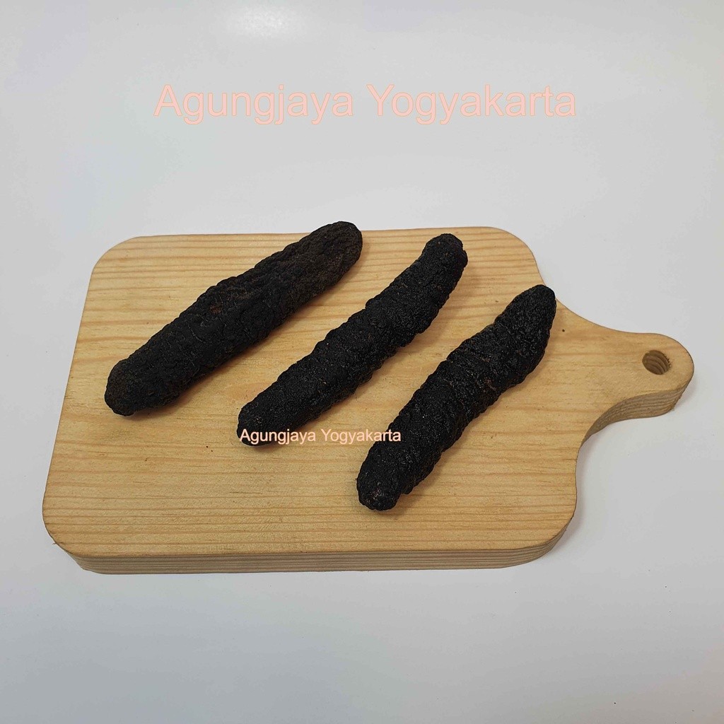 

Teripang Cera Hitam / Timun Laut / Sea Cucumber