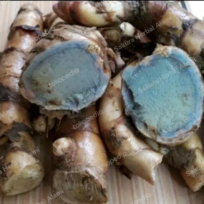 

temu hitam segar 1kg ready