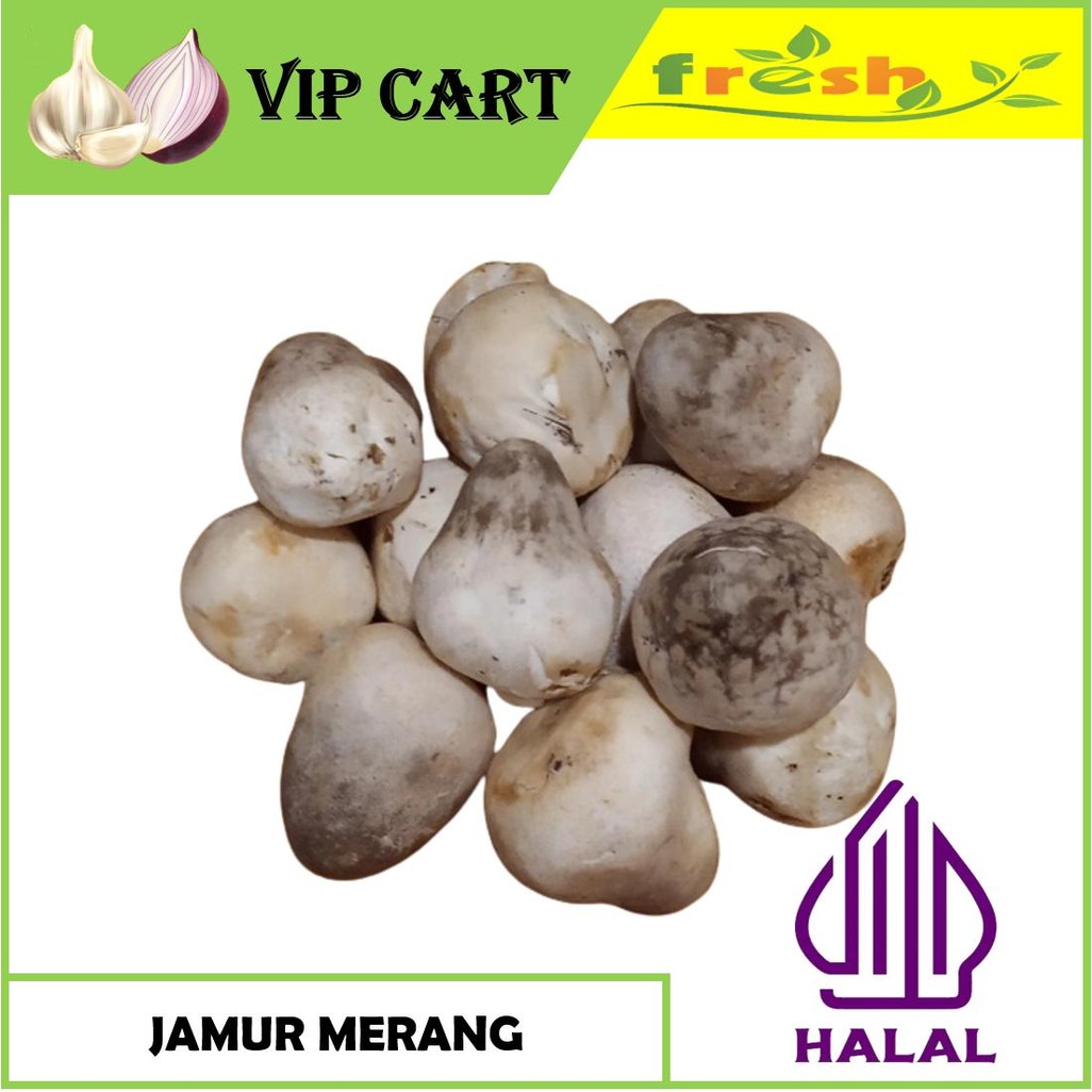 

JAMUR MERANG SEGAR 250 GRAM
