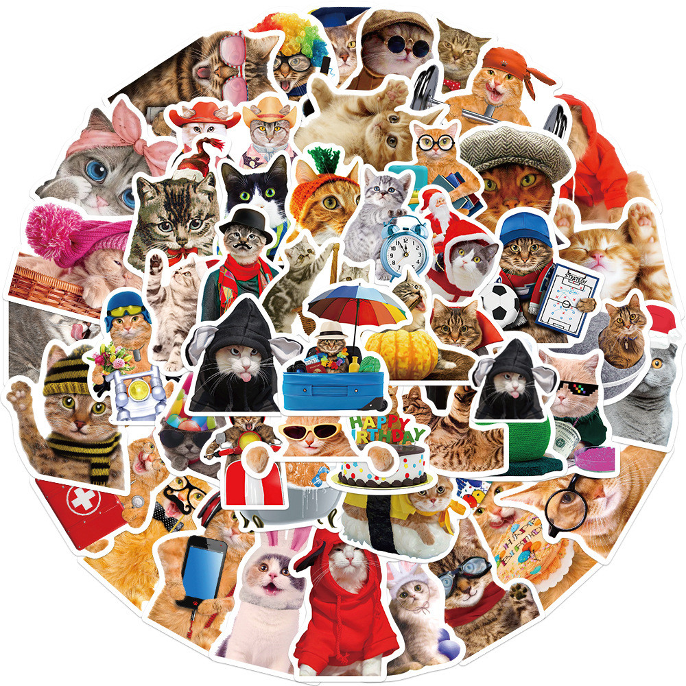 

10/30/50pcs Funny Animals Cat Meme Stickers Cute Cartoon Decals Kids Toys Laptop Notebook Luggage Motorcycle Decoration Sticker