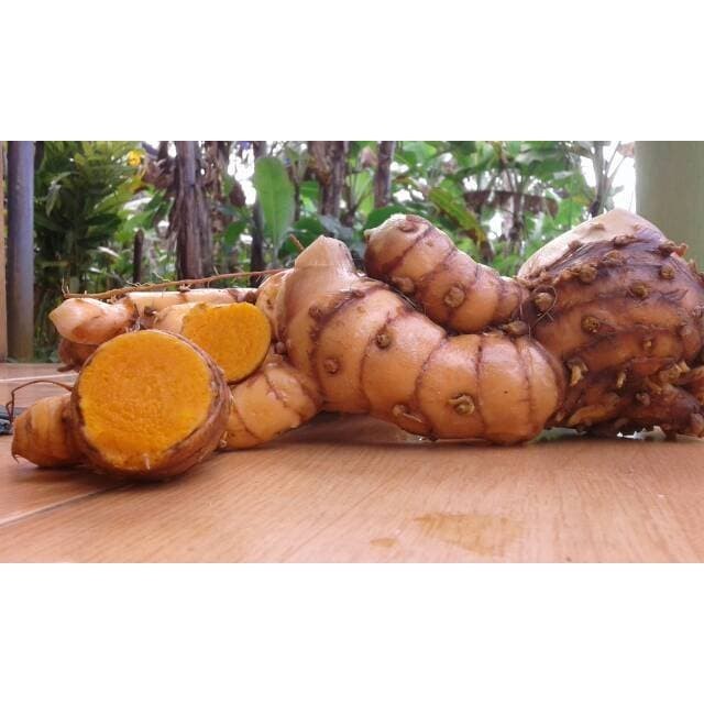 

AZ Temulawak segar 500gr