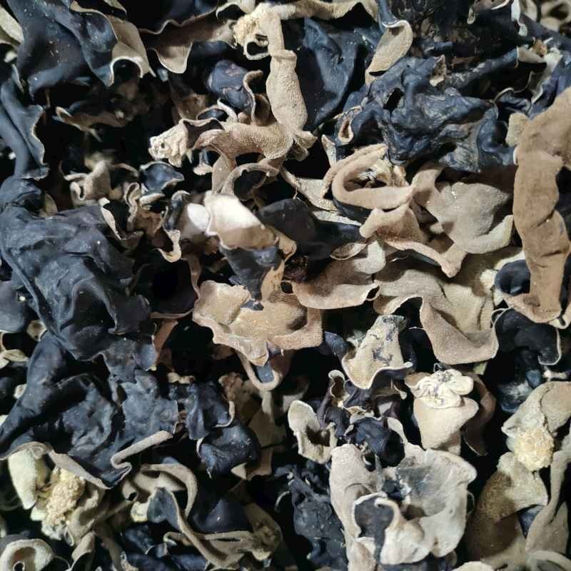 

Jamur Kuping Kering 500gr – Premium Grade | Cocok untuk Masakan & Herbal