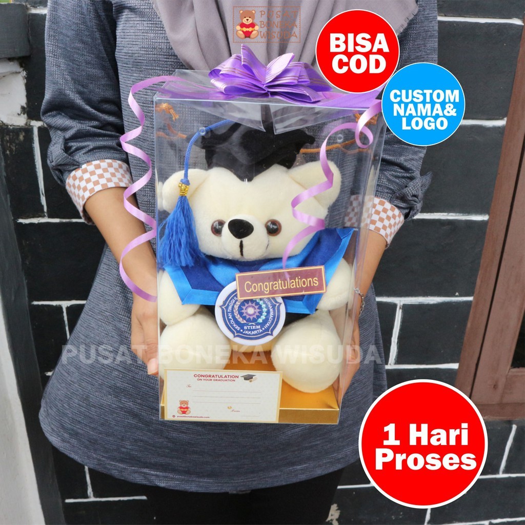 Boneka Wisuda Teddy Bear Ber Tedy Costom Kecil Mini Kado Wisuda Murah Hadiah Ulangtahun Grosir Ultah
