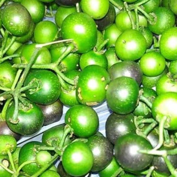 

Lencak 250gr
