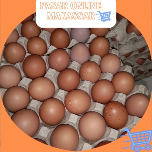 

Telur Ayam Ras Perbiji