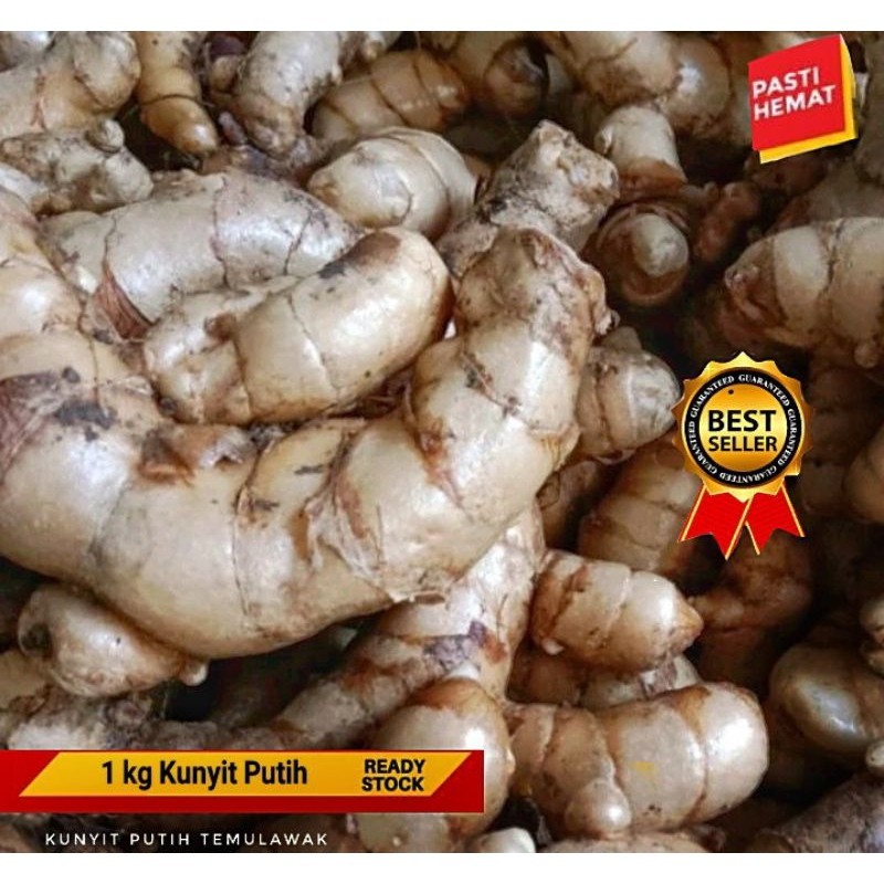 

New.. KUNYIT PUTIH BERSIH/kunyit putih fresh