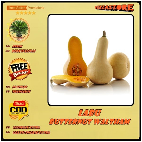 JAMIN MURAH biji benih Paket Hemat 10 Macam Benih Sayuran buah labu kabocha labu butternut labu madu