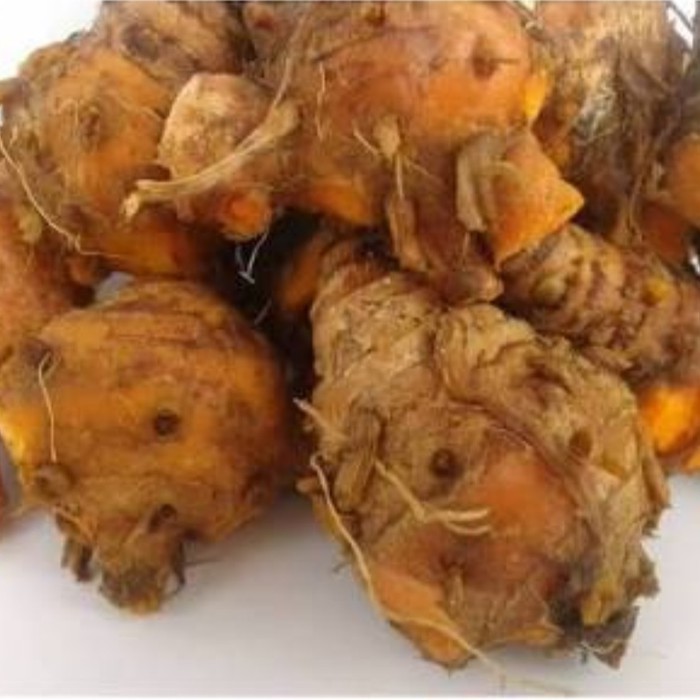 

Sahabatalam Biang Kunyit atau Pala Kunyit Segar 500 gr KC