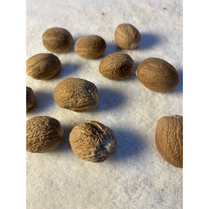 

Biji pala kupas 100gr / nutmeg seed / rempah