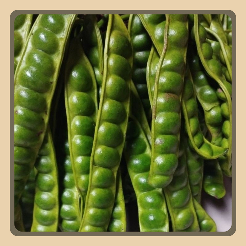 

Pete Padi Tua 10 Papan Segar Berkualitas