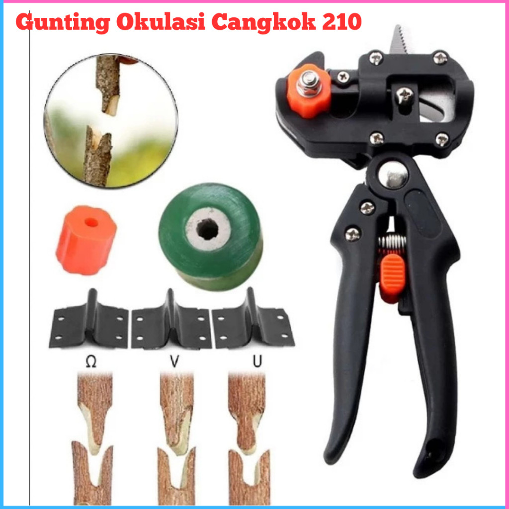 Terbaru Gunting Okulasi Sambung Batang Tanaman Grafting Pruning Tool Alat Stek Tanaman Komplit / Oku