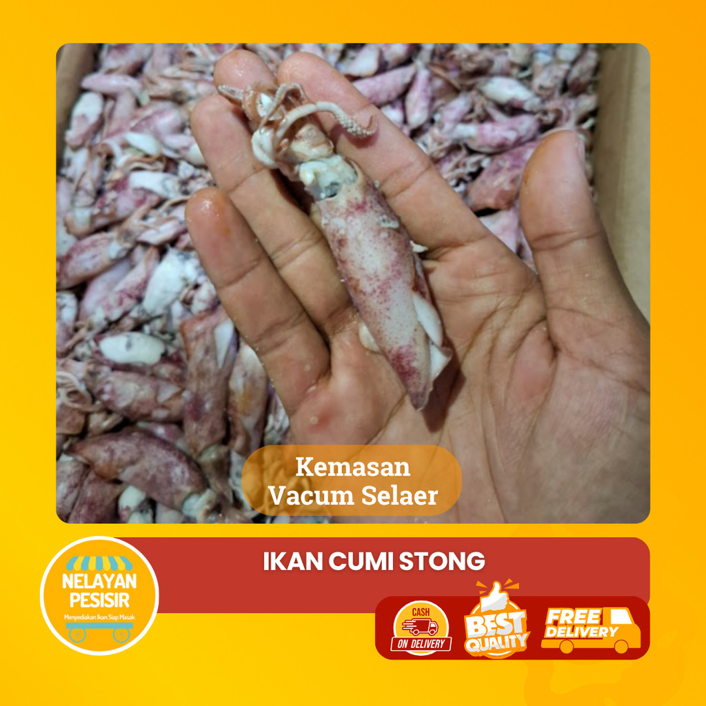 

Cumi Asin Premium Kualitas Ekspor Kering Tahan Lama Fresh & Gurih
