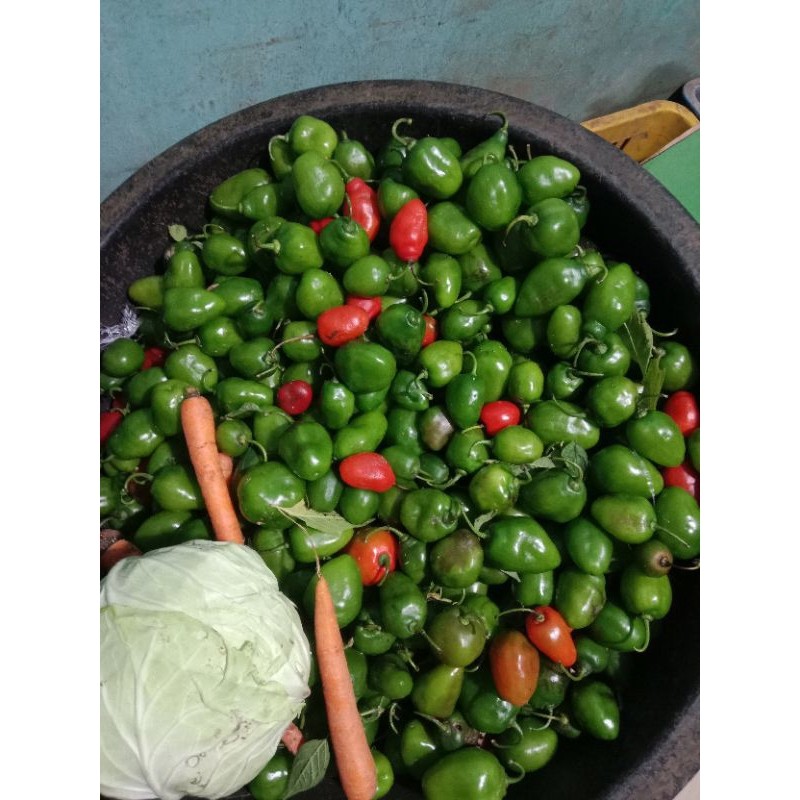 

READY TERMURAH cabe gendot 250gram